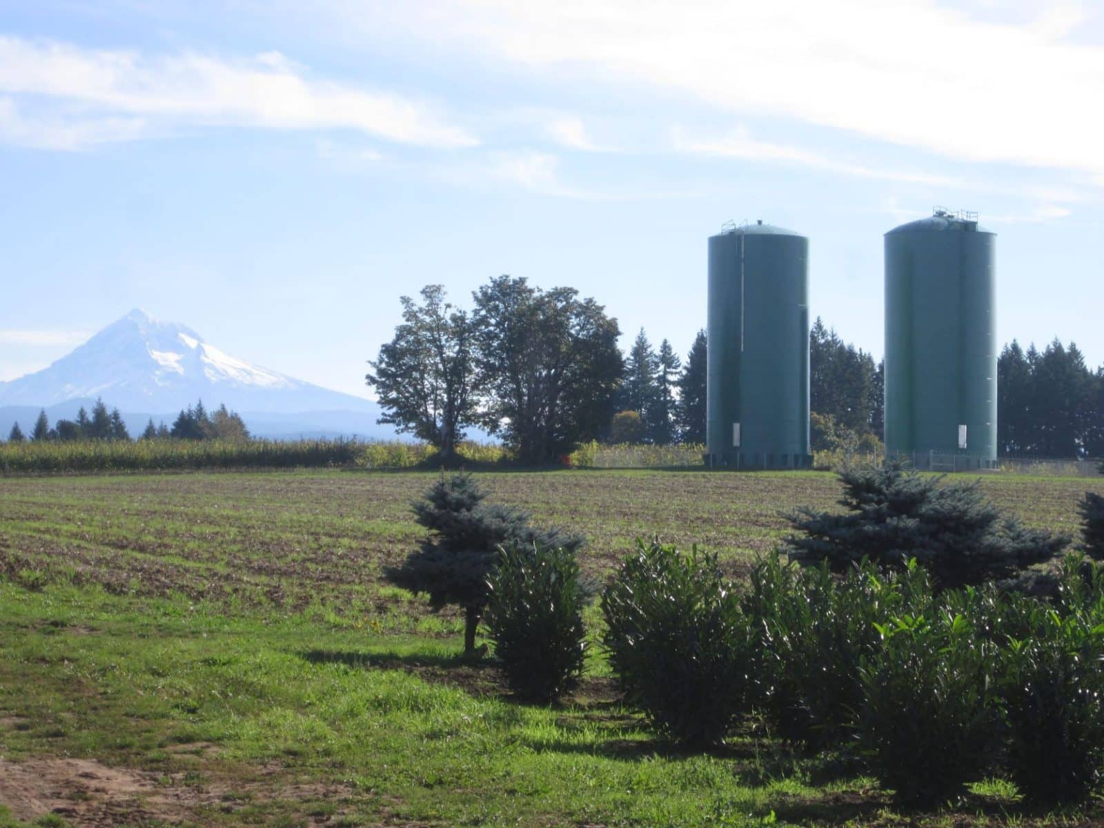 Steel Standpipe Reservoirs, Pleasant Home Water District, Gresham, OR