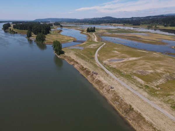 Steigerwald Floodplain Restoration