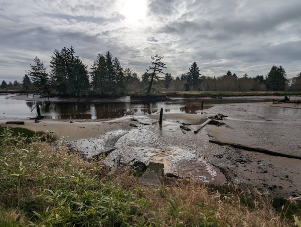 Tide Gate #9