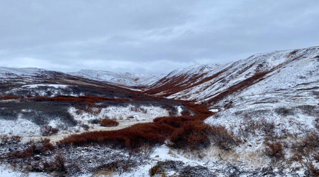 Water Management Planning Support to Teck's Red Dog Mine Life Extension Project